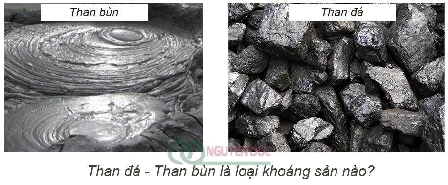 Than đá than bùn là loại khoáng sản nào? 