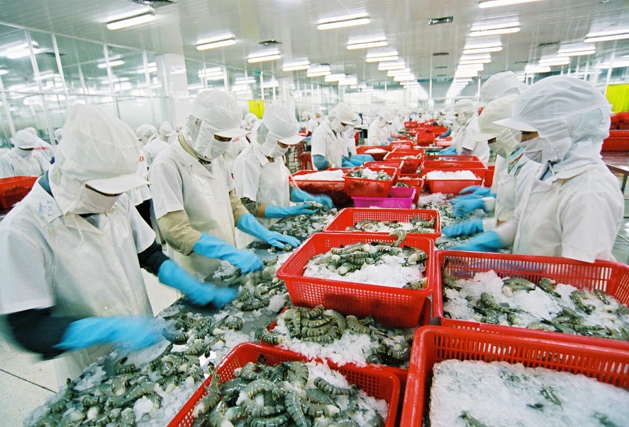Xuất khẩu của Việt Nam sang Mỹ giảm mạnh
