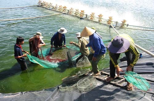 Bán bạt lót hồ nuôi tôm chuyên dụng